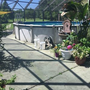 Meet your Posher, Sandra